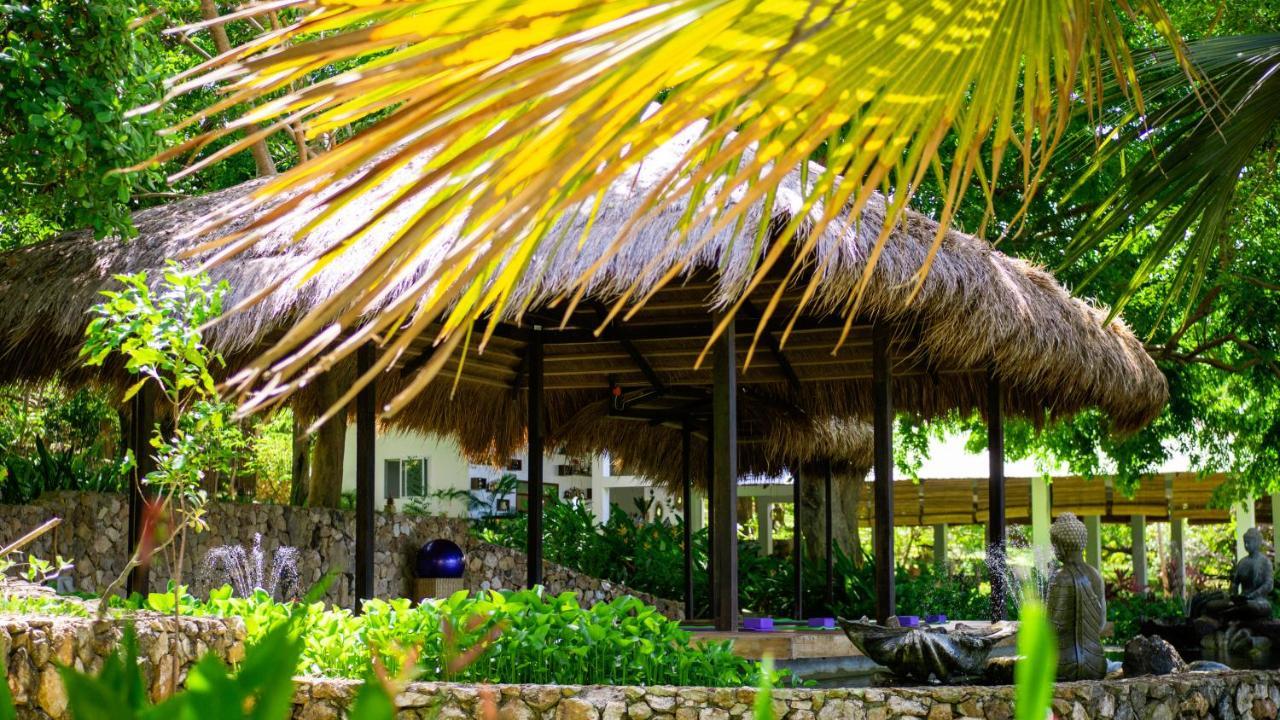 The Dream Beach Resort Тейтей Экстерьер фото